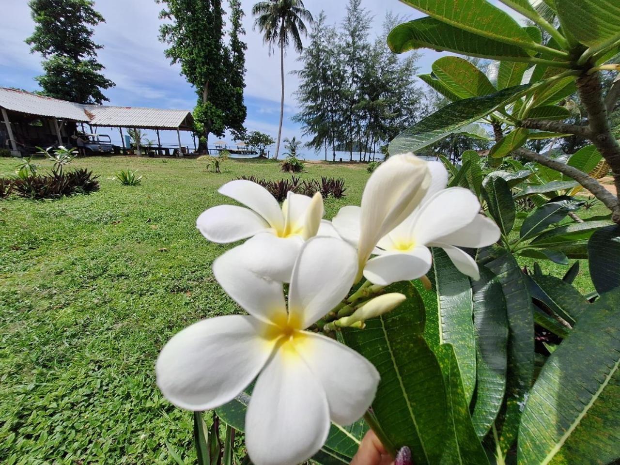 Miss You Beach Resort เกาะหมาก ภายนอก รูปภาพ